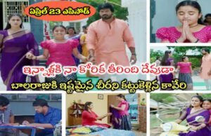 Chinni Serial Today ఏప్రిల్ 23 ఎపిసోడ్: నెరవేరిన చిన్ని కల.. గుడిలో ఒక్కటైన కావేరి, బాలరాజు.. కథ క్లైమాక్స్కి