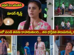 Chinni Serial April 21th Episode : నిన్ను కాపాడుతున్న ఆ అజ్ఞాత వ్యక్తి నాన్నే.. కావేరికి నిజం చెప్పేసిన చిన్ని.. సూపర్ ట్విస్ట్