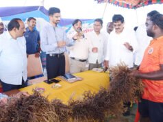 సముద్ర మొక్కల పెంపకంతో ఆదాయం