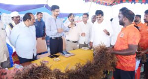 సముద్ర మొక్కల పెంపకంతో ఆదాయం