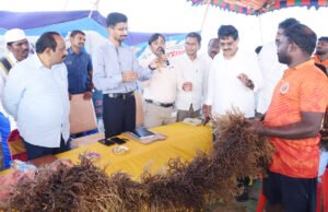 సముద్ర మొక్కల పెంపకంతో ఆదాయం